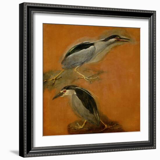 Two herons-Pieter Boel-Framed Giclee Print