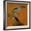 Two herons-Pieter Boel-Framed Giclee Print