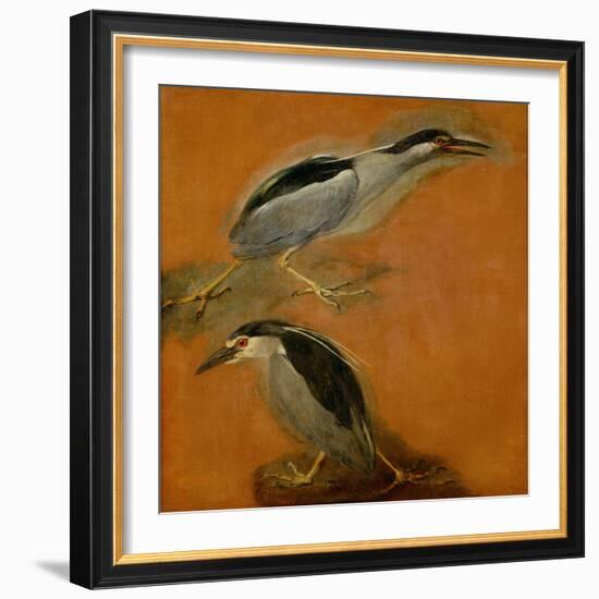 Two herons-Pieter Boel-Framed Giclee Print