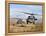 Two HH-60 Pavehawk Helicopters Preparing to Land-Stocktrek Images-Framed Premier Image Canvas