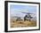 Two HH-60 Pavehawk Helicopters Preparing to Land-Stocktrek Images-Framed Photographic Print