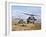 Two HH-60 Pavehawk Helicopters Preparing to Land-Stocktrek Images-Framed Photographic Print