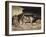 Two Horses and a Sleeping Groom, C.1822-1823-Théodore Géricault-Framed Giclee Print