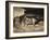 Two Horses and a Sleeping Groom, C.1822-1823-Théodore Géricault-Framed Giclee Print