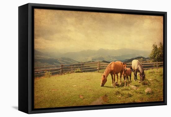 Two Horses and Foal  in Meadow.  Photo in Retro Style. Paper Texture.-A_nella-Framed Premier Image Canvas