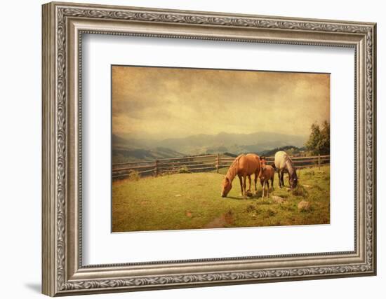 Two Horses and Foal  in Meadow.  Photo in Retro Style. Paper Texture.-A_nella-Framed Photographic Print