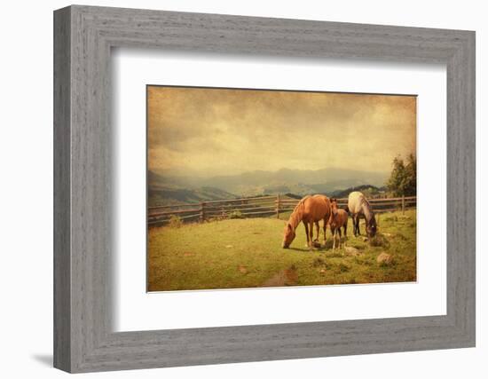 Two Horses and Foal  in Meadow.  Photo in Retro Style. Paper Texture.-A_nella-Framed Photographic Print