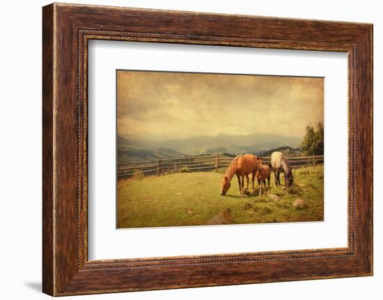 Two Horses and Foal  in Meadow.  Photo in Retro Style. Paper Texture.-A_nella-Framed Photographic Print