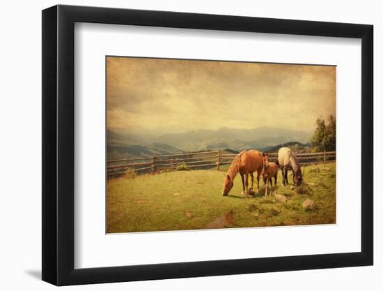 Two Horses and Foal  in Meadow.  Photo in Retro Style. Paper Texture.-A_nella-Framed Photographic Print