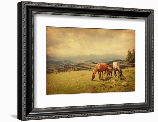 Two Horses and Foal  in Meadow.  Photo in Retro Style. Paper Texture.-A_nella-Framed Photographic Print