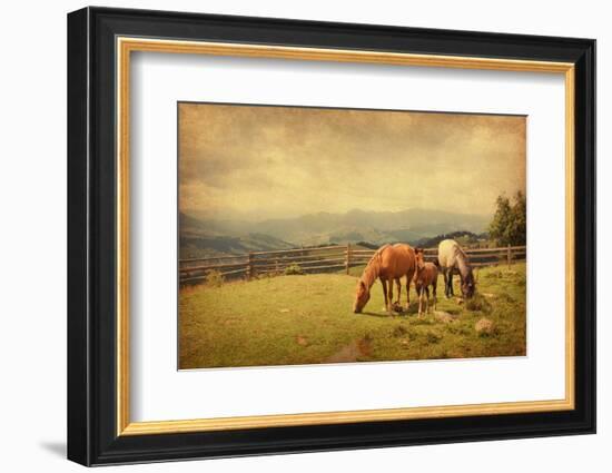 Two Horses and Foal  in Meadow.  Photo in Retro Style. Paper Texture.-A_nella-Framed Photographic Print