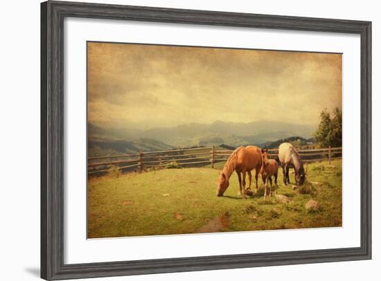 Two Horses and Foal  in Meadow.  Photo in Retro Style. Paper Texture.-A_nella-Framed Photographic Print