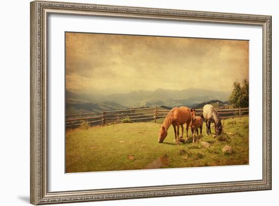 Two Horses and Foal  in Meadow.  Photo in Retro Style. Paper Texture.-A_nella-Framed Photographic Print