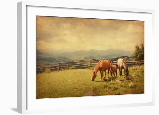 Two Horses and Foal  in Meadow.  Photo in Retro Style. Paper Texture.-A_nella-Framed Photographic Print