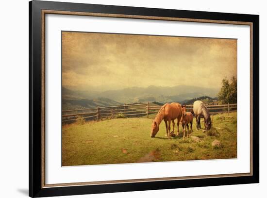 Two Horses and Foal  in Meadow.  Photo in Retro Style. Paper Texture.-A_nella-Framed Photographic Print