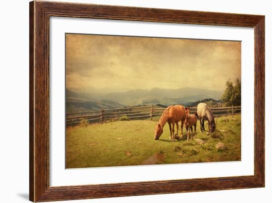 Two Horses and Foal  in Meadow.  Photo in Retro Style. Paper Texture.-A_nella-Framed Photographic Print