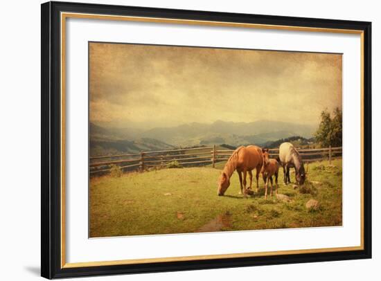 Two Horses and Foal  in Meadow.  Photo in Retro Style. Paper Texture.-A_nella-Framed Photographic Print