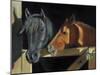 Two Horses At The Stall Gate-joylos-Mounted Art Print