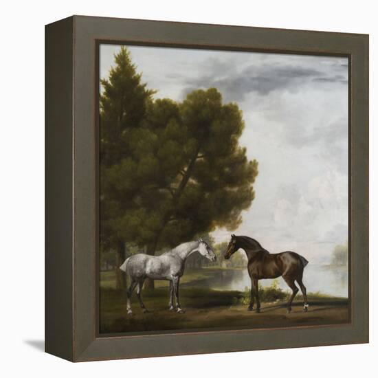 Two Horses Communing in a Landscape by George Stubbs-George Stubbs-Framed Premier Image Canvas