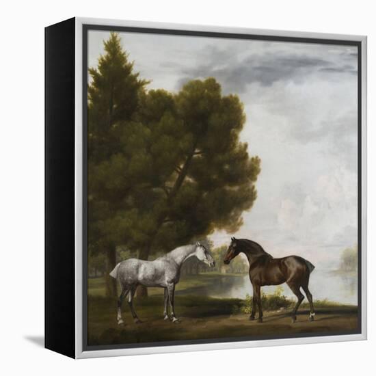 Two Horses Communing in a Landscape by George Stubbs-George Stubbs-Framed Premier Image Canvas