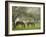 Two Horses Eating in Spring Pasture, Cape Elizabeth, Maine-Nance Trueworthy-Framed Photographic Print