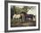 Two Horses in a Landscape-George Stubbs-Framed Giclee Print