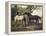 Two Horses in a Landscape-George Stubbs-Framed Premier Image Canvas