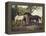 Two Horses in a Landscape-George Stubbs-Framed Premier Image Canvas