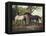 Two Horses in a Landscape-George Stubbs-Framed Premier Image Canvas