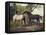 Two Horses in a Landscape-George Stubbs-Framed Premier Image Canvas