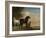 Two Horses in a Meadow Near a Gate-Paulus Potter-Framed Art Print