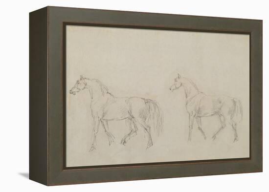 Two Horses Walking Left-Sawrey Gilpin-Framed Premier Image Canvas