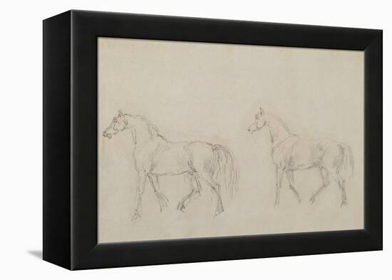 Two Horses Walking Left-Sawrey Gilpin-Framed Premier Image Canvas