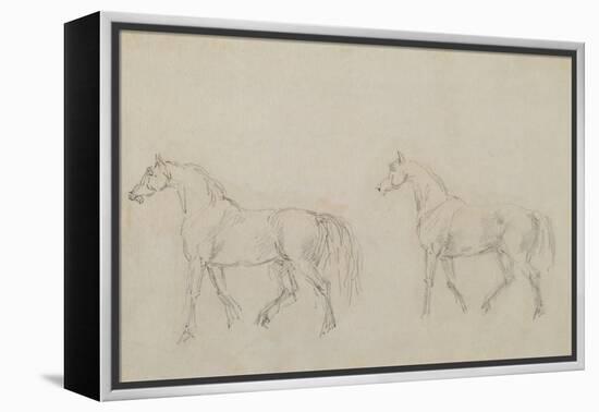 Two Horses Walking Left-Sawrey Gilpin-Framed Premier Image Canvas