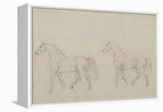 Two Horses Walking Left-Sawrey Gilpin-Framed Premier Image Canvas