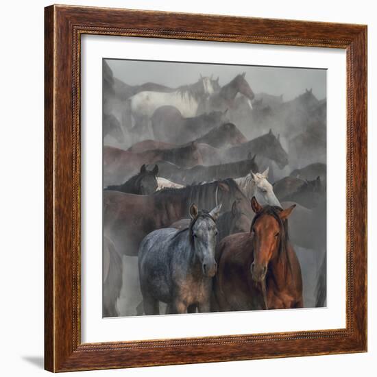 Two Horses-Hüseyin Ta?k?n-Framed Photographic Print