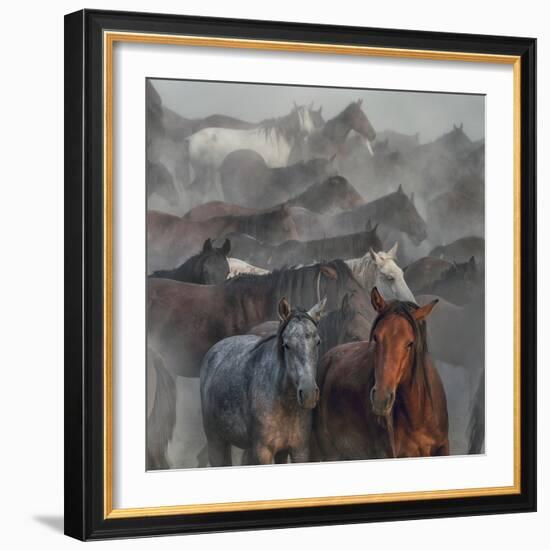 Two Horses-Hüseyin Ta?k?n-Framed Photographic Print