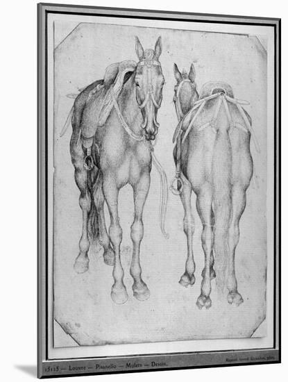 Two Horses-Antonio Pisani Pisanello-Mounted Giclee Print