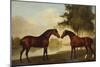 Two Hunters by a Lake-George Stubbs-Mounted Giclee Print