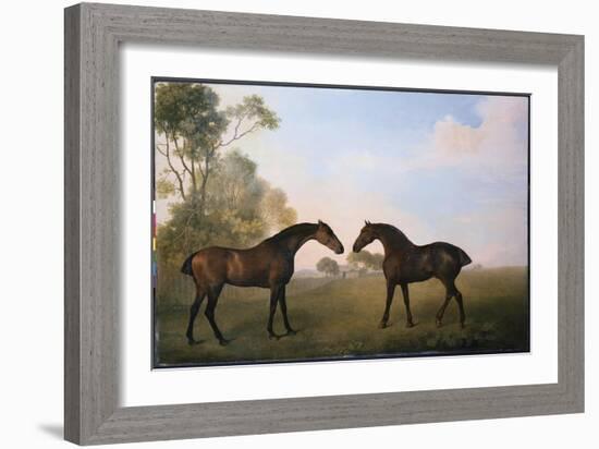 Two Hunters Out at Grass-George Stubbs-Framed Giclee Print