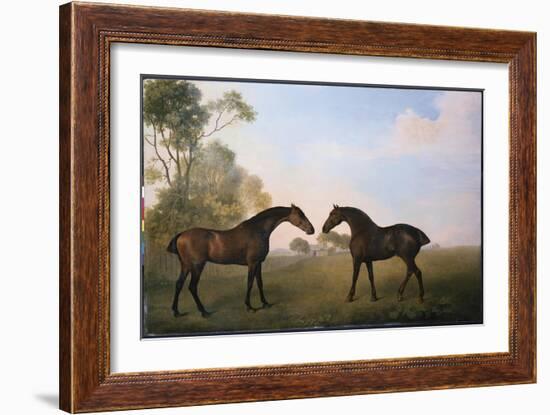Two Hunters Out at Grass-George Stubbs-Framed Giclee Print