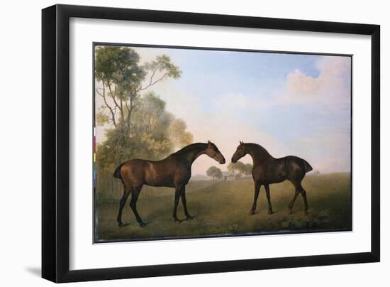 Two Hunters Out at Grass-George Stubbs-Framed Giclee Print