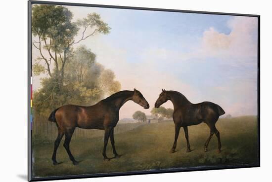 Two Hunters Out at Grass-George Stubbs-Mounted Giclee Print
