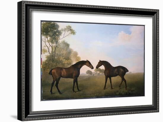 Two Hunters Out at Grass-George Stubbs-Framed Giclee Print