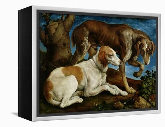 Two Hunting Dogs Tied to a Tree Stump, c.1548-50-Jacopo Bassano-Framed Premier Image Canvas