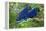 Two Hyacinth Macaws-Howard Ruby-Framed Premier Image Canvas