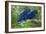 Two Hyacinth Macaws-Howard Ruby-Framed Photographic Print