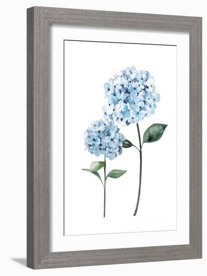 Two Hydrangeas-Enya Todd-Framed Art Print