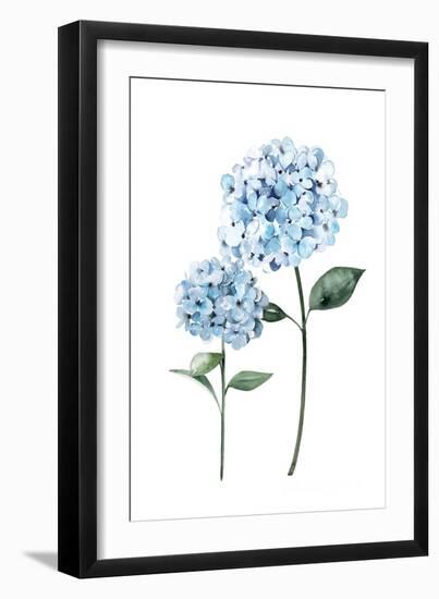 Two Hydrangeas-Enya Todd-Framed Art Print