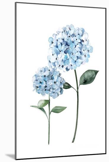 Two Hydrangeas-Enya Todd-Mounted Art Print